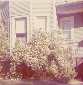 Our house in 1972